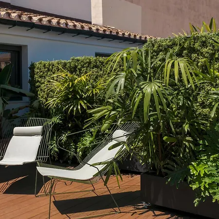 Coeo Fresca Design * Malaga
